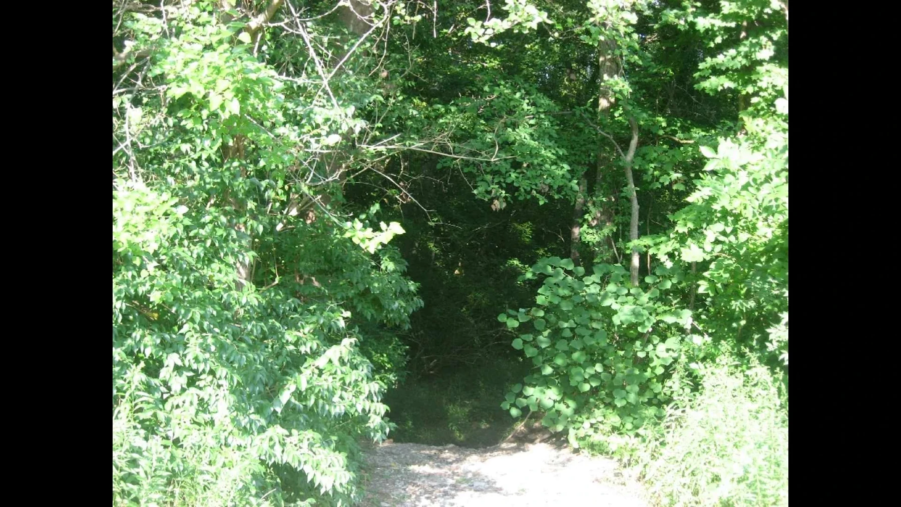 MyLocalGuideIN.com - images - Finished - 11000912.png