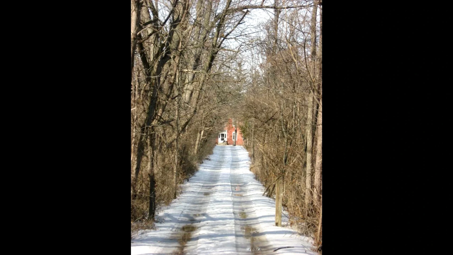 MyLocalGuideIN.com - images - Finished - 06000303.png